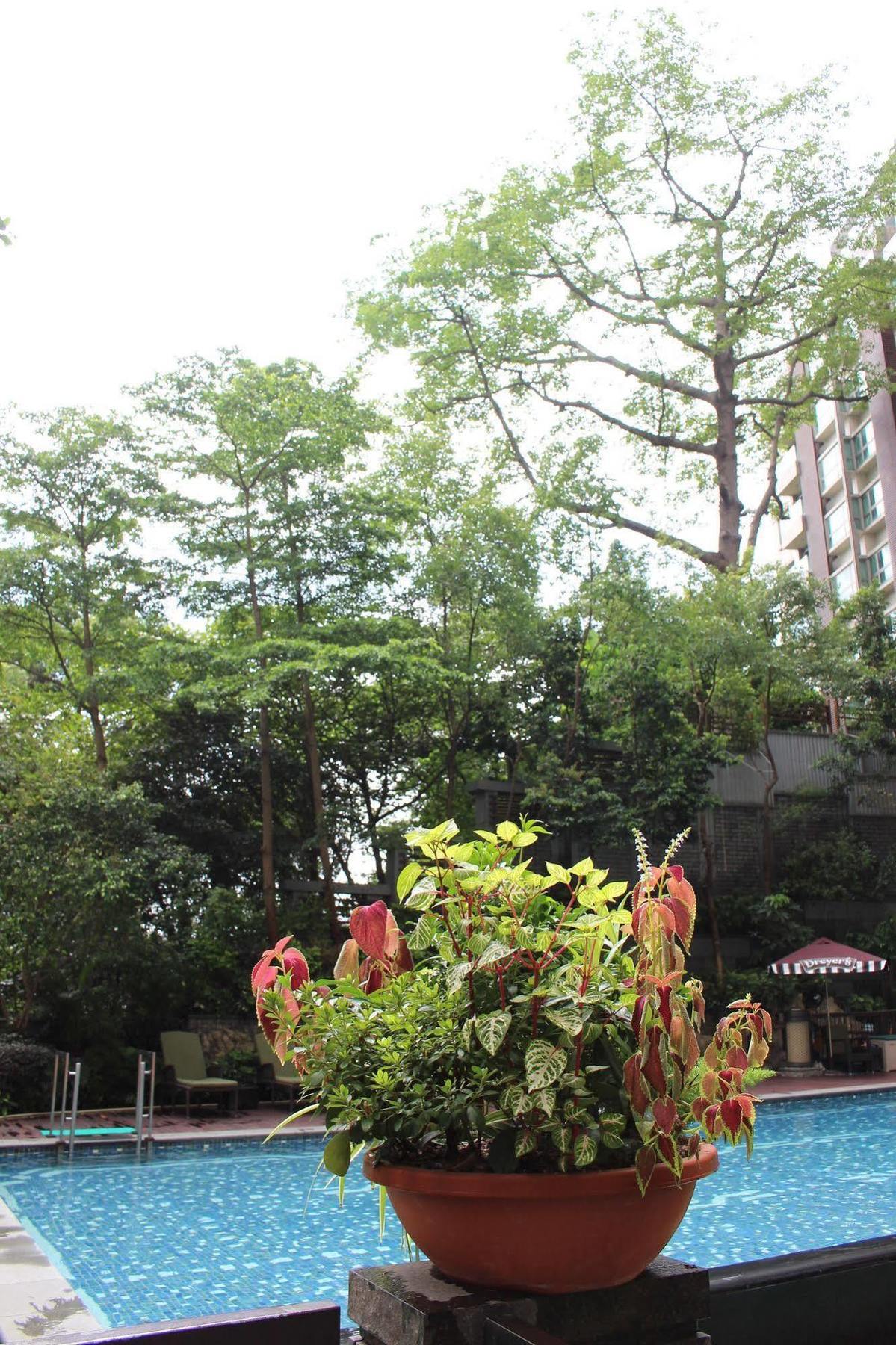 度假村 帝景酒店 4*